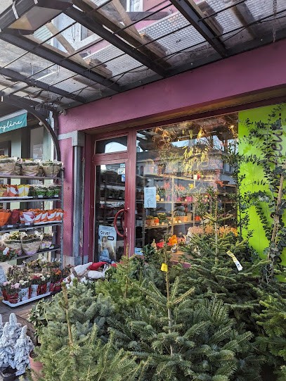 Comme Une Fleur, Fleuriste à Ixelles