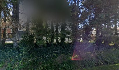 Johan Vanderhaegen, Fleuriste à Kruisem