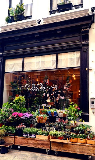 Elle Fleur Antwerpen, Fleuriste à Anvers