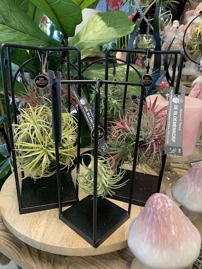 De Bloemenkorf, Fleuriste à Zedelgem