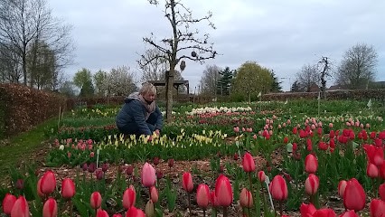 Pluk je dag, Fleuriste à Stekene