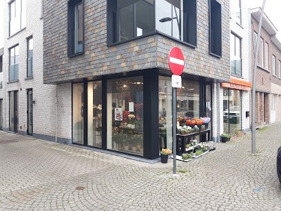 BLOEMEN IN BLOEI, Fleuriste à Ternat