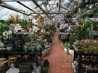 Bloemenweelde Declercq, Fleuriste à Kortemark