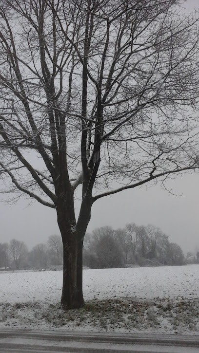 I.d. Flo, Fleuriste à Ath