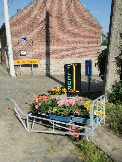 Maison Lepoivre, Fleuriste à Ath