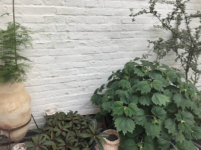 Kwekerij Mandragora, Fleuriste à Landen