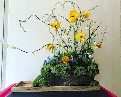 Pop And Bloom, Fleuriste à Poperinge