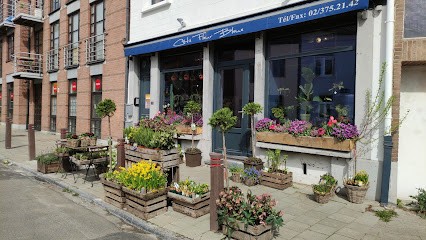 Côté fleur bleue, Fleuriste à Uccle