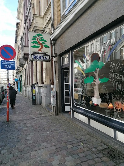 Jardin D'Apollon (Bonsaï), Fleuriste à Ixelles