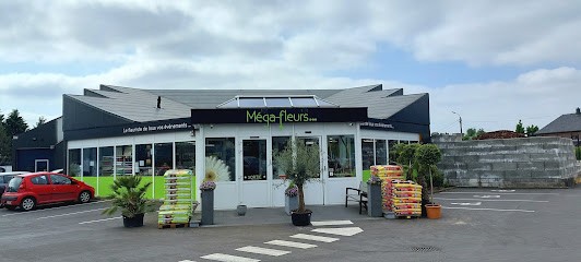 Mega Fleurs sa, Fleuriste à Verviers