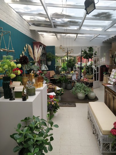 Metamorphose, Fleuriste à Tessenderlo