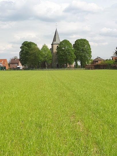 De Ridder Maurice Irma, Fleuriste à Boechout
