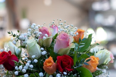 Bloemen Deboeck, Fleuriste à Beersel