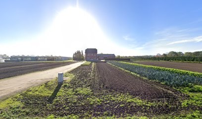 Rens Ludovicus, Fleuriste à Laakdal