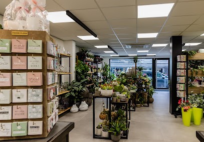 Passie-Flora bvba, Fleuriste à Tremelo