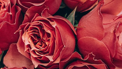 flowers frivoli, Fleuriste à Anvers