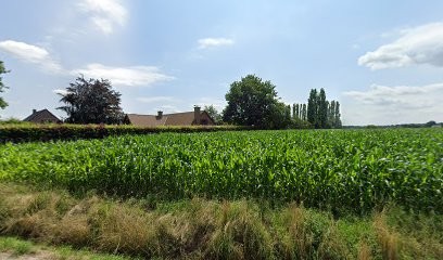 fleurs sindy, Fleuriste à Ath