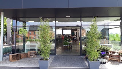 Fleurs Berthaut, Fleuriste à Honnelles