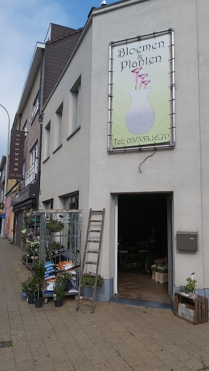 't Voaske, Fleuriste à Wijnegem