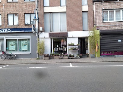 Bloemen Terra Verde, Fleuriste à Kontich