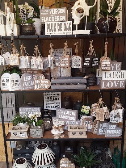 Acacia, Fleuriste à Staden