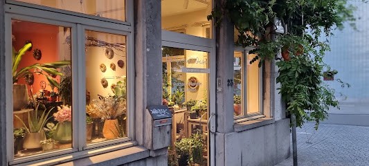 The Green Oasis, Fleuriste à Anvers