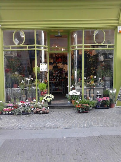 Flowers 7 Days, Fleuriste à Anvers