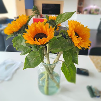 Bloemenspeciaalzaak VER ELST, Fleuriste à Begijnendijk