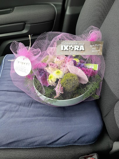 Ixora, Fleuriste à Lommel