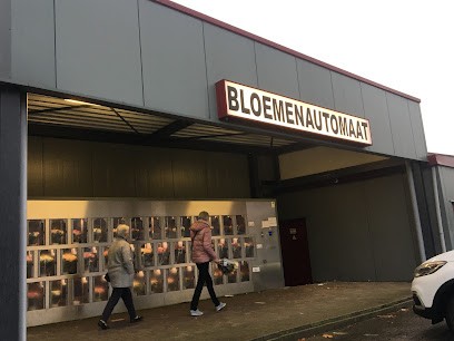 Bloemenkwekerij Scheers, Fleuriste à Kontich