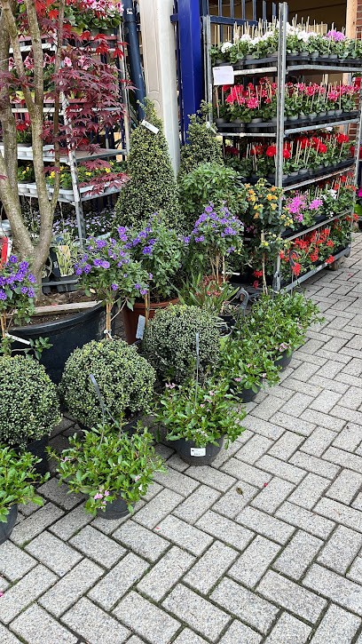 Drutti Huysmans / Lucien, Fleuriste à Lanaken