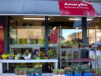 Bloemen & Planten Amaryllis Stekene, Fleuriste à Stekene