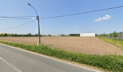 Floris Sa, Fleuriste à Kontich