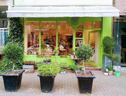 Bloembinderij Oxalis, Fleuriste à Mortsel