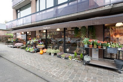 Mayflower, Fleuriste à Uccle