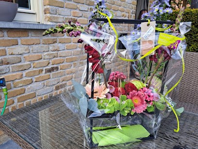 Pimpernel, Fleuriste à Tielt-Winge