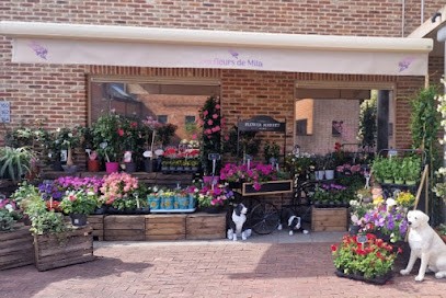 Les fleurs de Mila, Fleuriste à Londerzeel