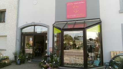 Il était une fleur, Fleuriste à Arlon