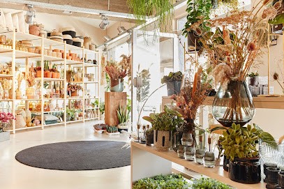 Bloemen Flo, Fleuriste à Houthalen-Helchteren