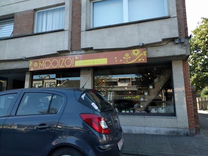 Mooizo bloemen en kado, Fleuriste à Brée