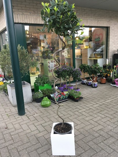 BLOEMEN EN PLANTEN ANIRO, Fleuriste à Alost