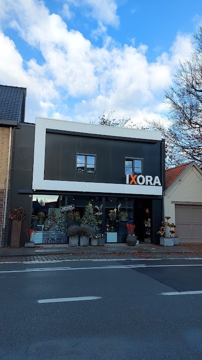 Bloemen Ixora - passion for flowers, Fleuriste à Zulte