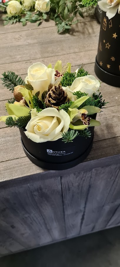 Anthea Bloemen / Bloemenautomaat, Fleuriste à Asse