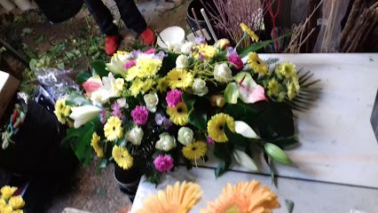 Babette / Mattia, Fleuriste à Anderlues