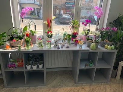 La bougainvillée, Fleuriste à Oupeye