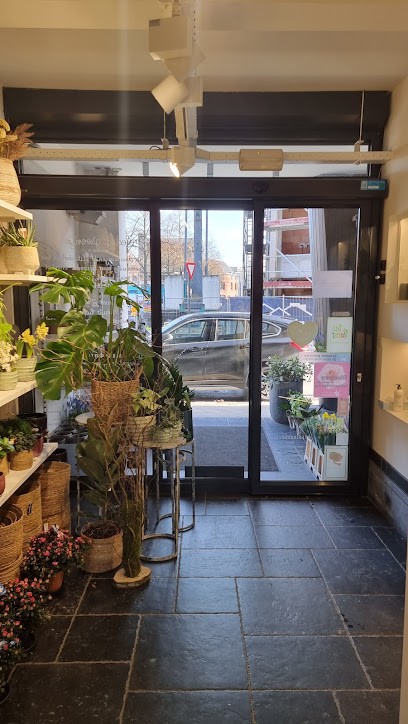 Vivaldi Bloemen en planten, Fleuriste à Alost