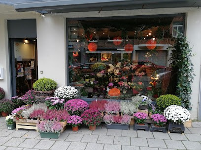 Eucalyptus Fleurs Plantes, Fleuriste à Etterbeek
