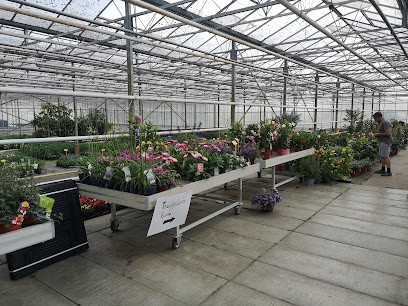 Vandeputte / Michel, Fleuriste à Kruisem