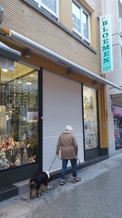 Ikebana, Fleuriste à Blankenberge