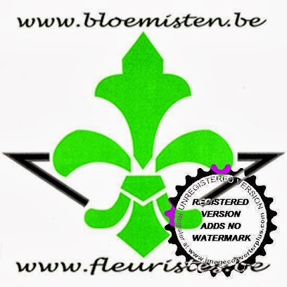 Fleuron, Fleuriste à Hoeilaart